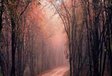 新人开户买股票技巧:股票交流平台网站-牵手八大国有车企 华为汽车板块扩大“朋友圈”