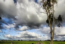 买股票开户怎么开:哪个股票软件最好用-社保基金最新持仓动向揭秘！Q2新进71只个股前十大流通股东榜 苏试试验获增持家数最多